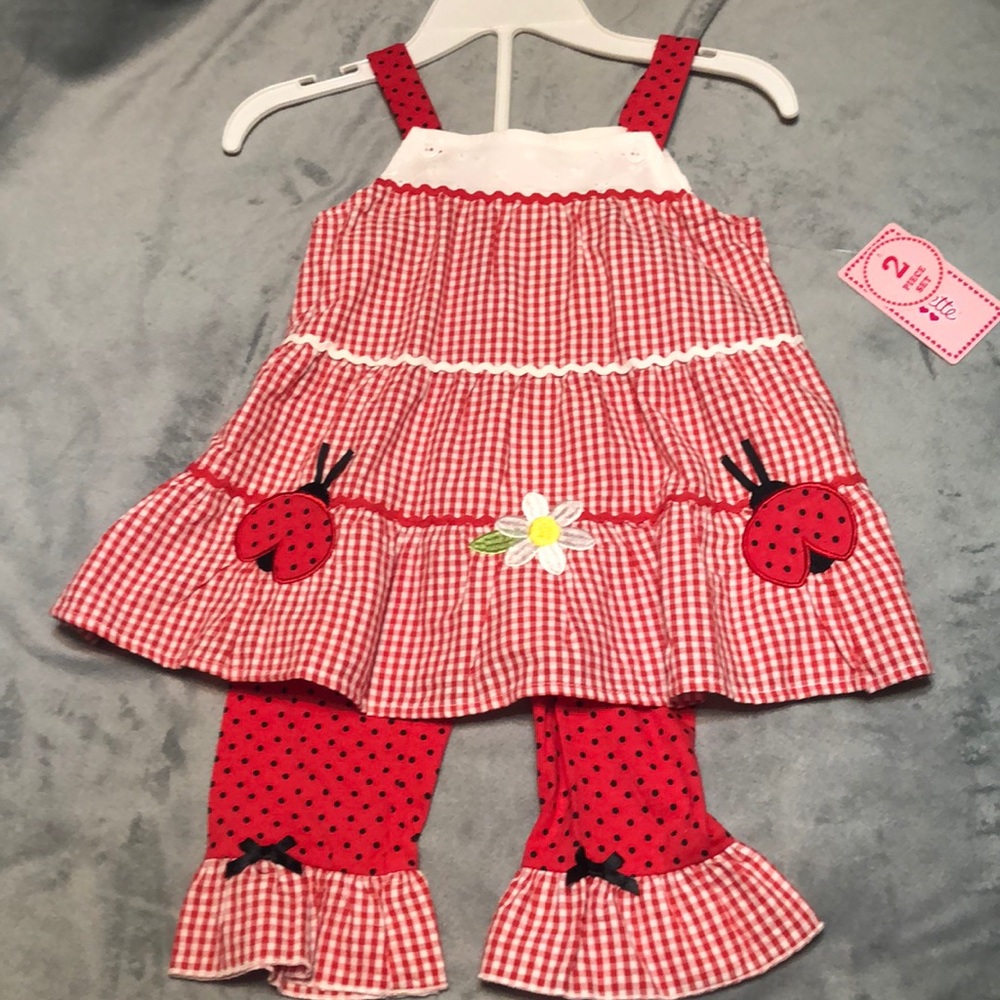 Gingham and ladybug legging set